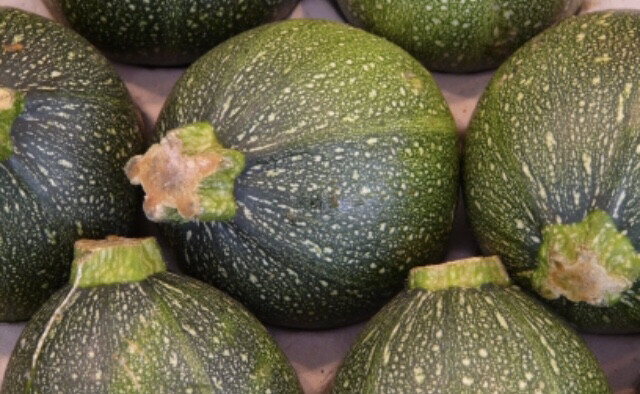 COURGETTE RONDE FRANCE CAT.1 LES 500G