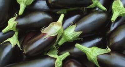 AUBERGINE FRANCE CAT.1 LES 500G