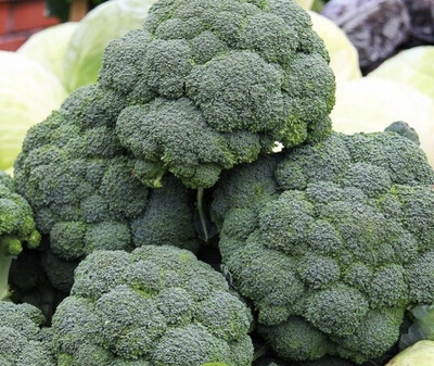 CHOU BROCOLI FRANCE CAT.1 LES 500G