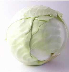 CHOU BLANC LOCAL VENDÉE  FRANCE CAT.1 LA PIÈCE 