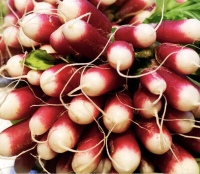 RADIS ROSE FRANCE CAT.1 LA BOTTE