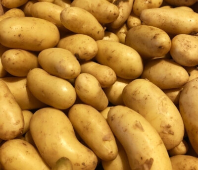 POMME DE TERRE AMANDINE FRANCE CAT.1 LE KILO (chair ferme)