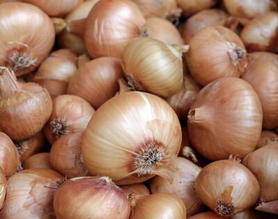 OIGNON JAUNE LOCAL VENDÉE FRANCE CAT.1 LES 500G