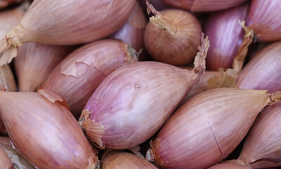 ECHALOTE LOCAL VENDÉE FRANCE CAT.1 LES 250G