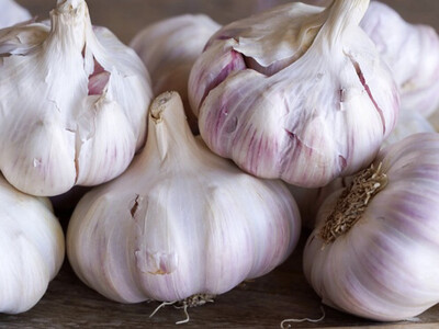 AIL VIOLET LOCAL VENDÉE FRANCE CAT.1 LES 250G