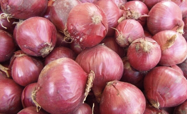 OIGNON ROUGE LOCAL VENDÉE FRANCE CAT.1 LES 500G