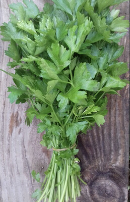 PERSIL PLAT LOCAL SAINT-XANDRE FRANCE CAT.1 LA BOTTE