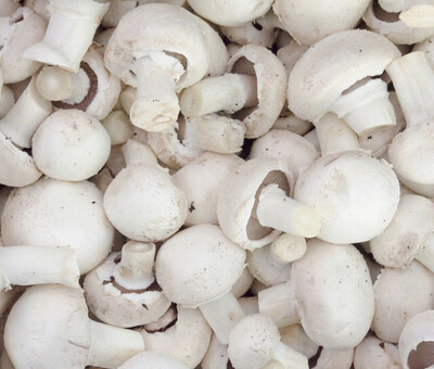 CHAMPIGNON BLANC LOCAL SAINTES FRANCE CAT.1 LES 500G