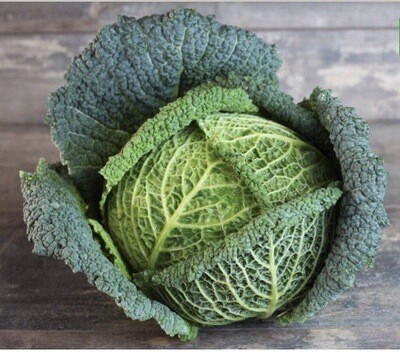 CHOU VERT FRISÉ FRANCE CAT.1 LA PIÈCE