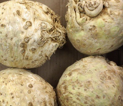 CÉLERI RAVE LOCAL VENDÉE FRANCE CAT.1 LA PIÈCE