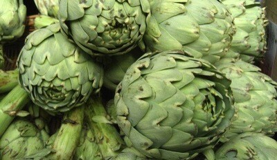 ARTICHAUT ESPAGNE CAT.1 LA PIÈCE