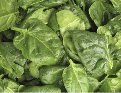 ÉPINARD FRANCE CAT.1 LES 500G