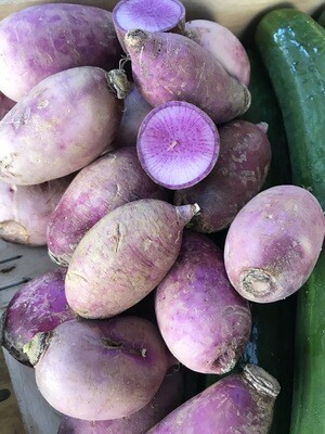 RADIS BLUE MEAT FRANCE CAT.1 LA PIÈCE 