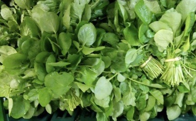 CRESSON FRANCE CAT.1 LA BOTTE