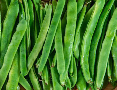 HARICOT COCO PLAT ESPAGNE CAT.1 LES 500G