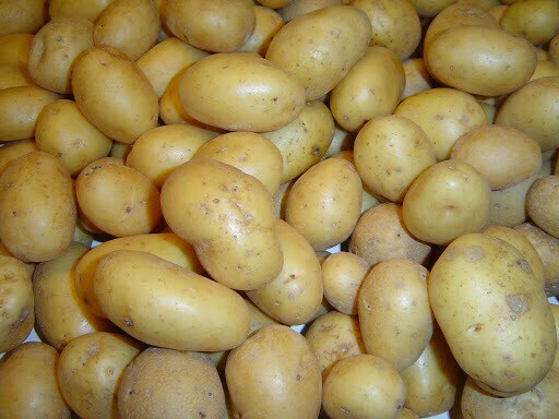 POMME DE TERRE GRENAILLE FRANCE CAT.1 LES 500G