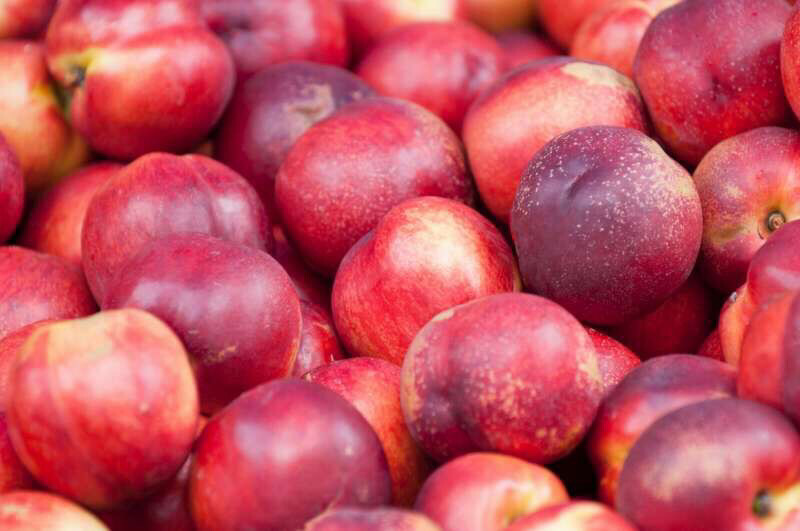 NECTARINE BLANCHE FRANCE CAT.EXTRA LES 500G