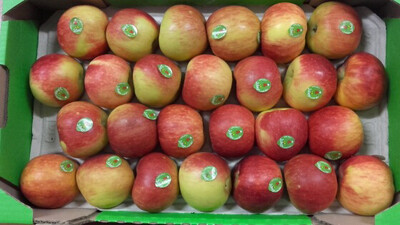 POMME BIO JULIET FRANCE CAT.1 LES 500G