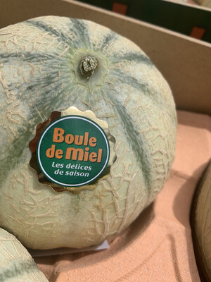 MELON CHARENTAIS « BOULE DE MIEL » ESPAGNE CAT.1 LA PIÈCE