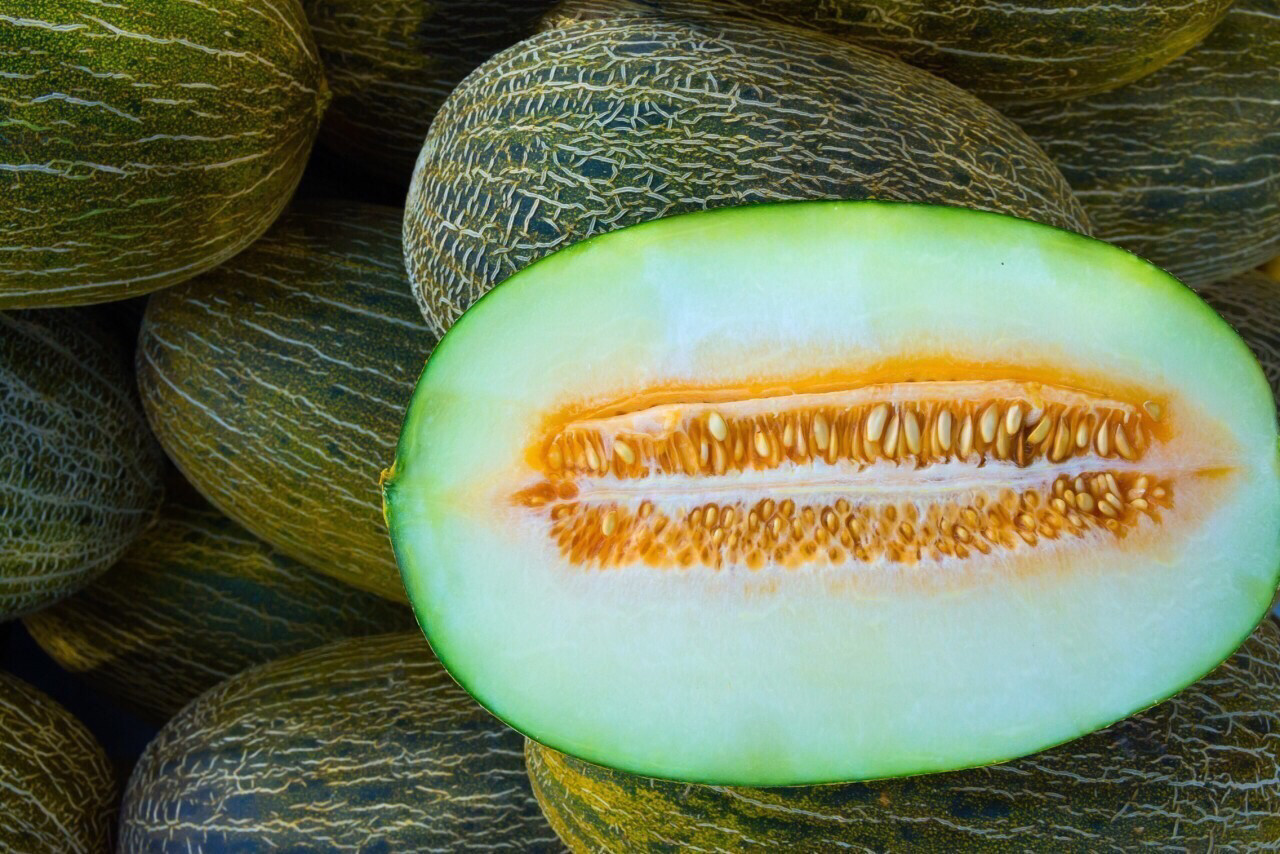 MELON VERT ESPAGNE CAT.1 LA PIÈCE