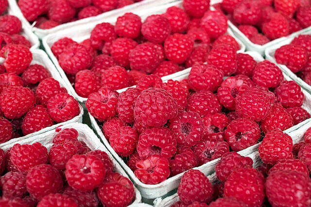 FRAMBOISE FRANCE CAT.1 LA BARQUETTE 125GR