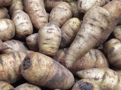 CERFEUIL TUBÉREUX FRANCE CAT.1 LES 250G