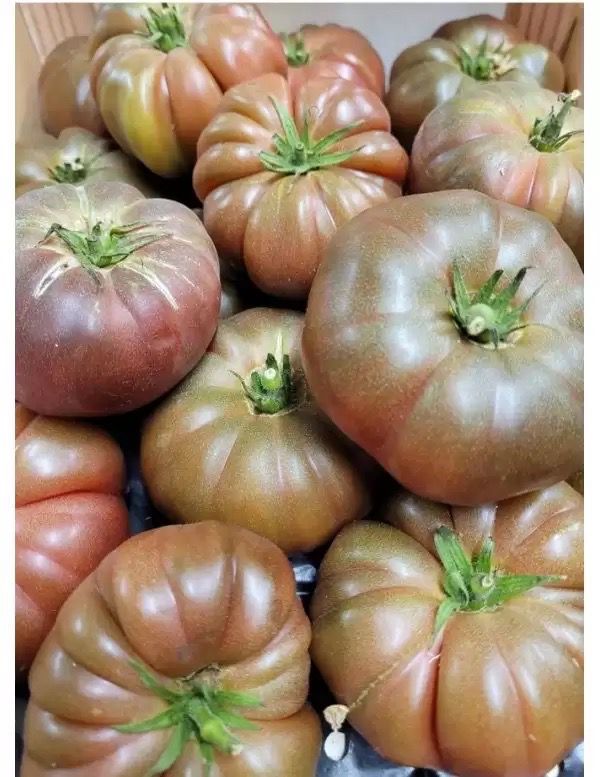 TOMATE CÔTELÉE NOIRE BRETAGNE FRANCE CAT.2 LES 500G