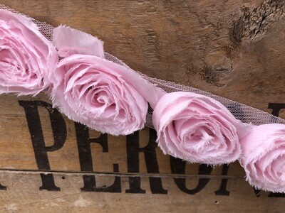 Bordo Rose