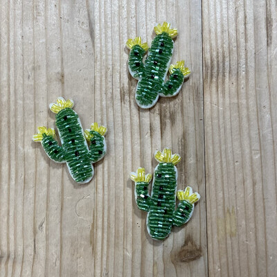 Applicazione Cactus con perline