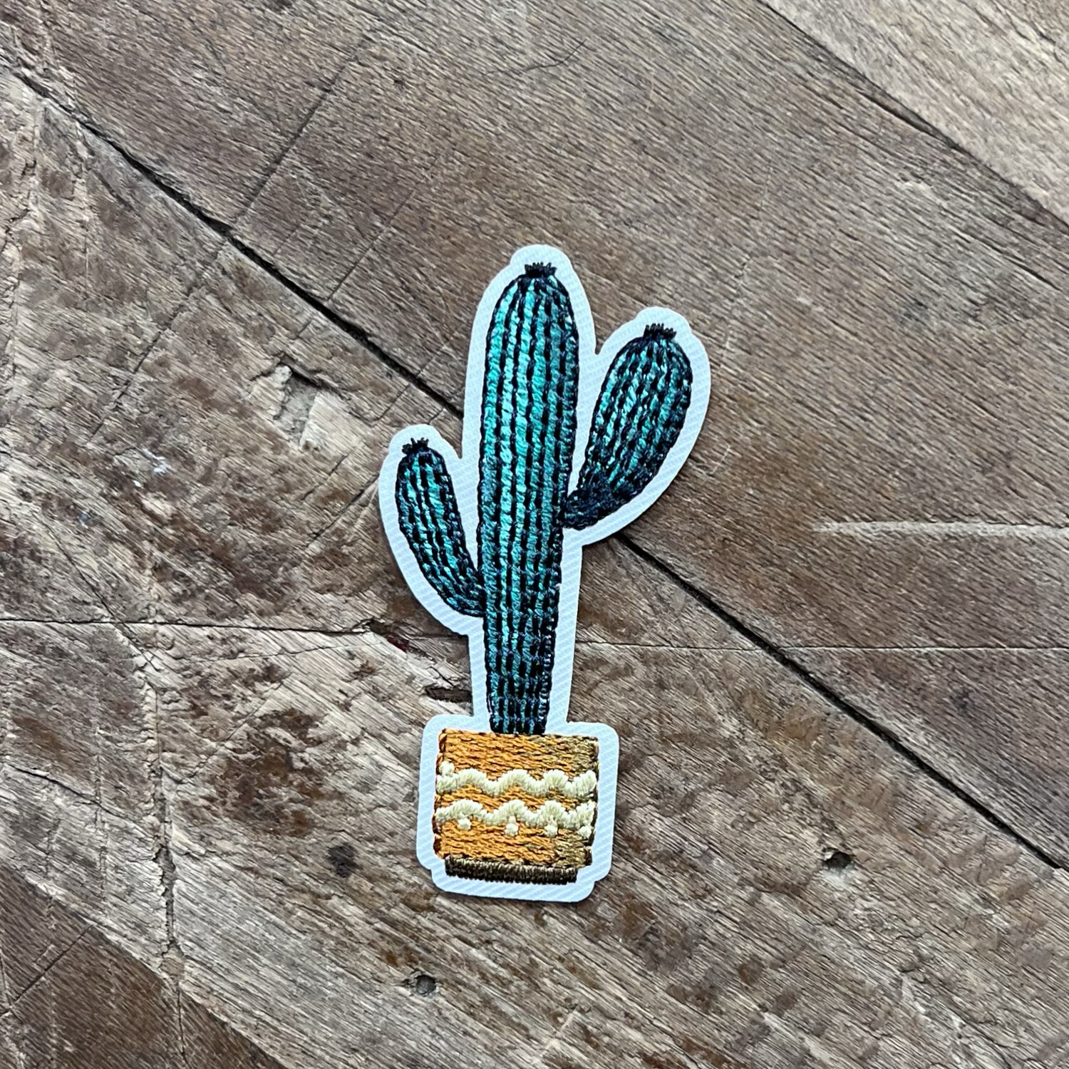 Applicazione Cactus con vaso