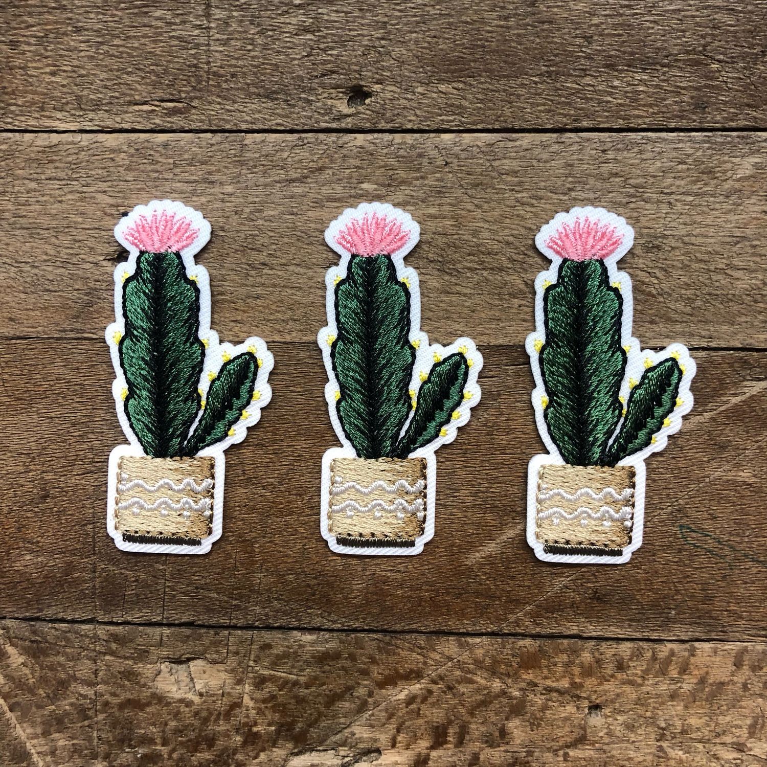 Applicazione Cactus con fiori