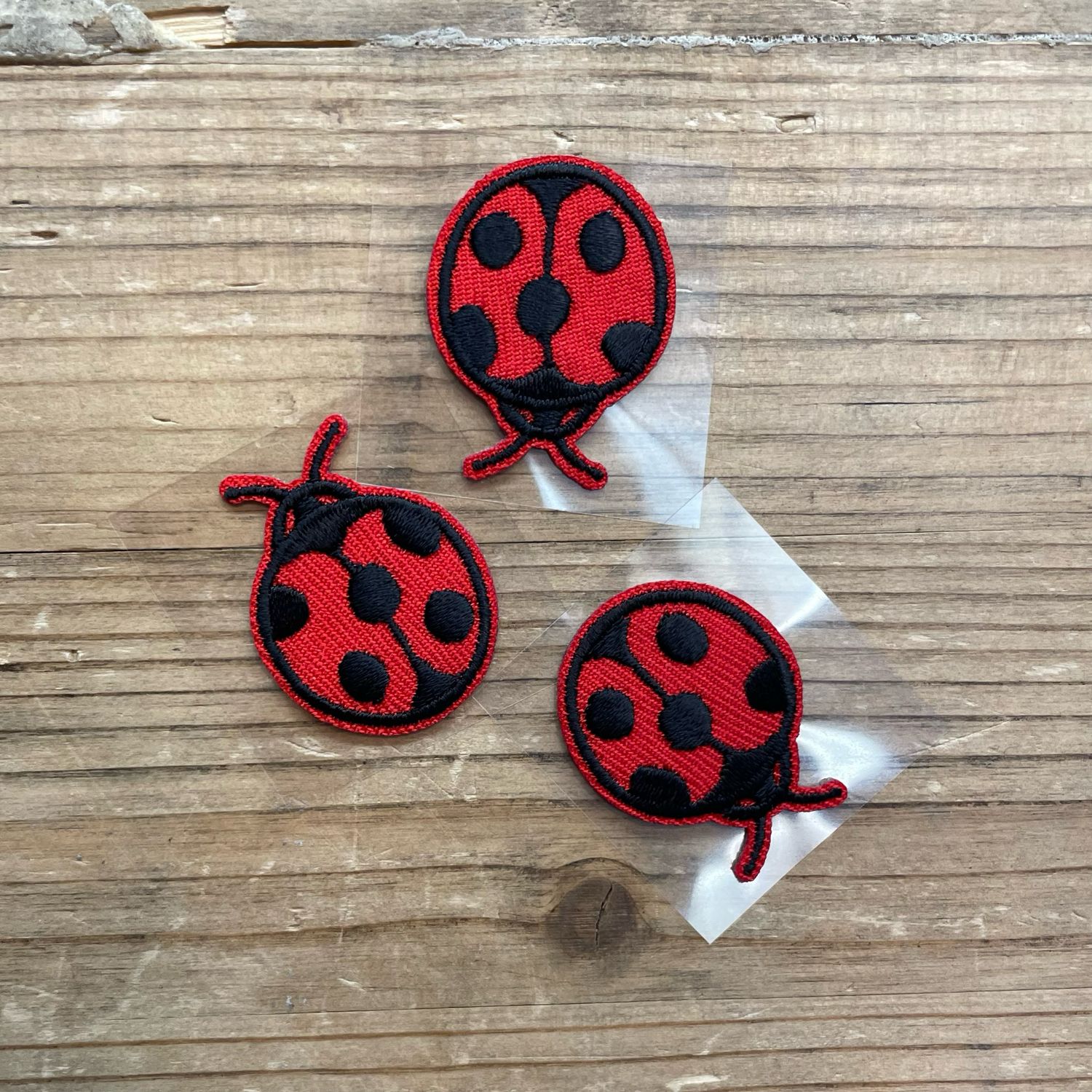 Applicazione Coccinelle
