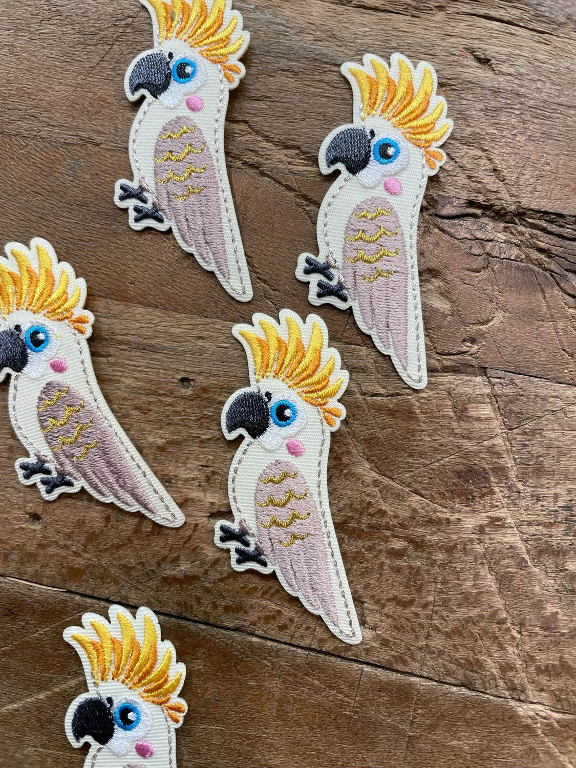 Applicazione Pappagallo Applicazione Pappagallo