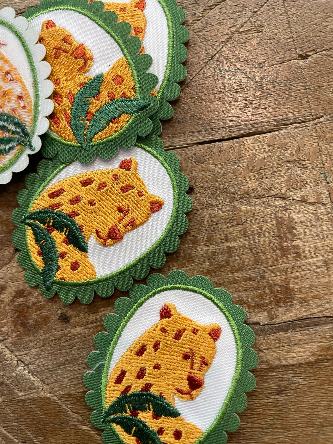 Applicazione Ghepardo