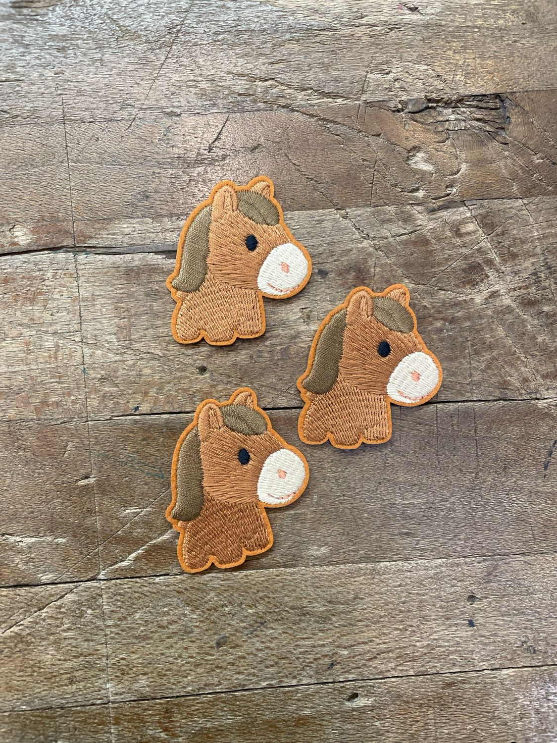 Applicazione Cavallo Applicazione Cavallo