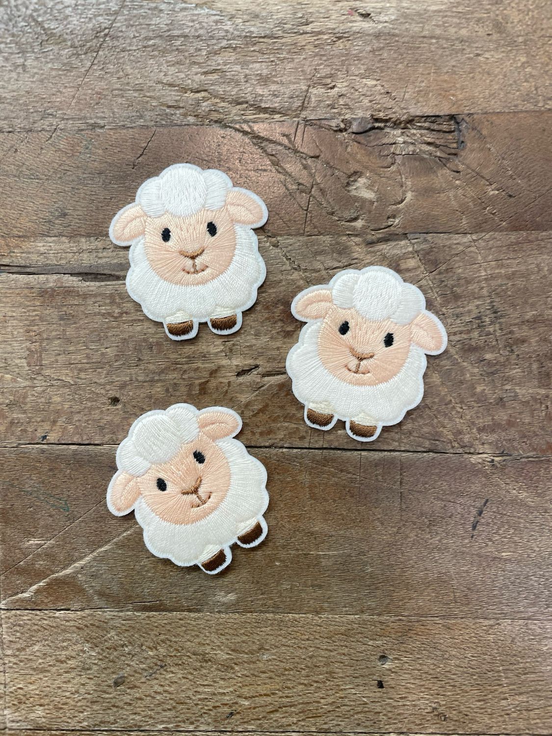 Applicazione Pecorella Applicazione Pecorella