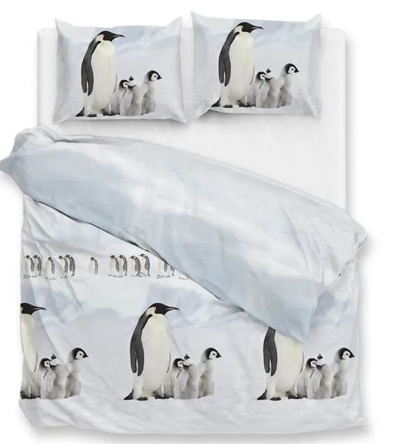 DBO Pingu