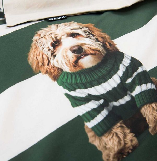 DBO Labradoodle