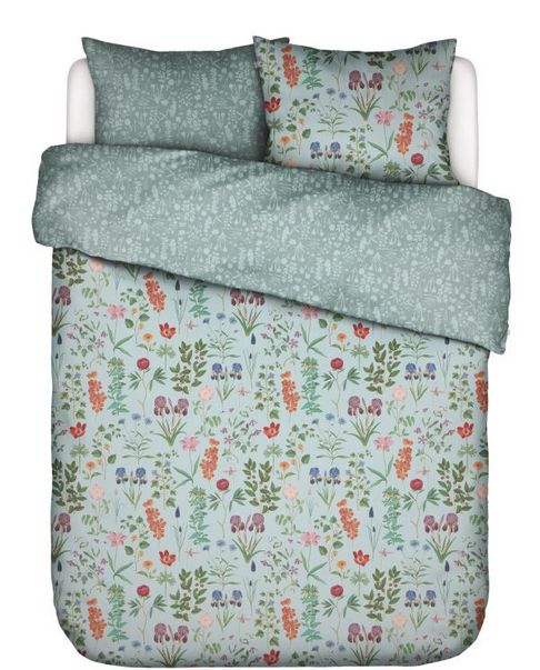 DBO Marigold Pastelblue