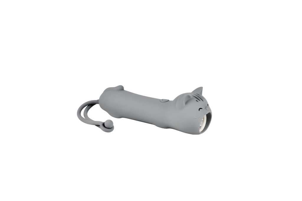 Flashlight Cat