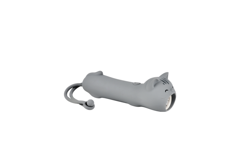 Flashlight Cat
