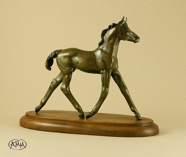 AMM Tyger Bronze
