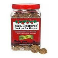 Mrs Pastures cookie jar