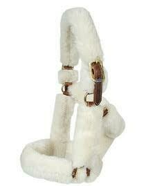 Walsh shipping halter