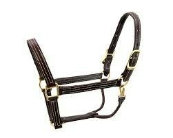 Walsh British Halter