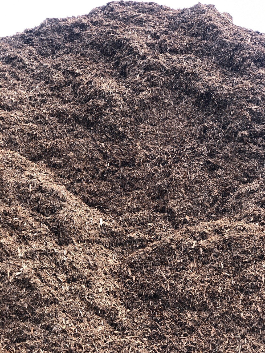 Cedar Shredded Mulch (per yard)