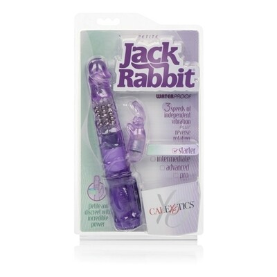 PETITE JACK RABBIT PURPLE