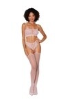 0425 BRALETTE AND GARTERHOSE