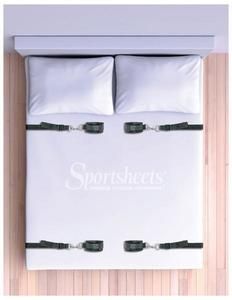 UNDER THE BED RESTRAINT SYSTEM