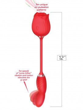 WILD ROSE COME HITHER AND SUCTION RED